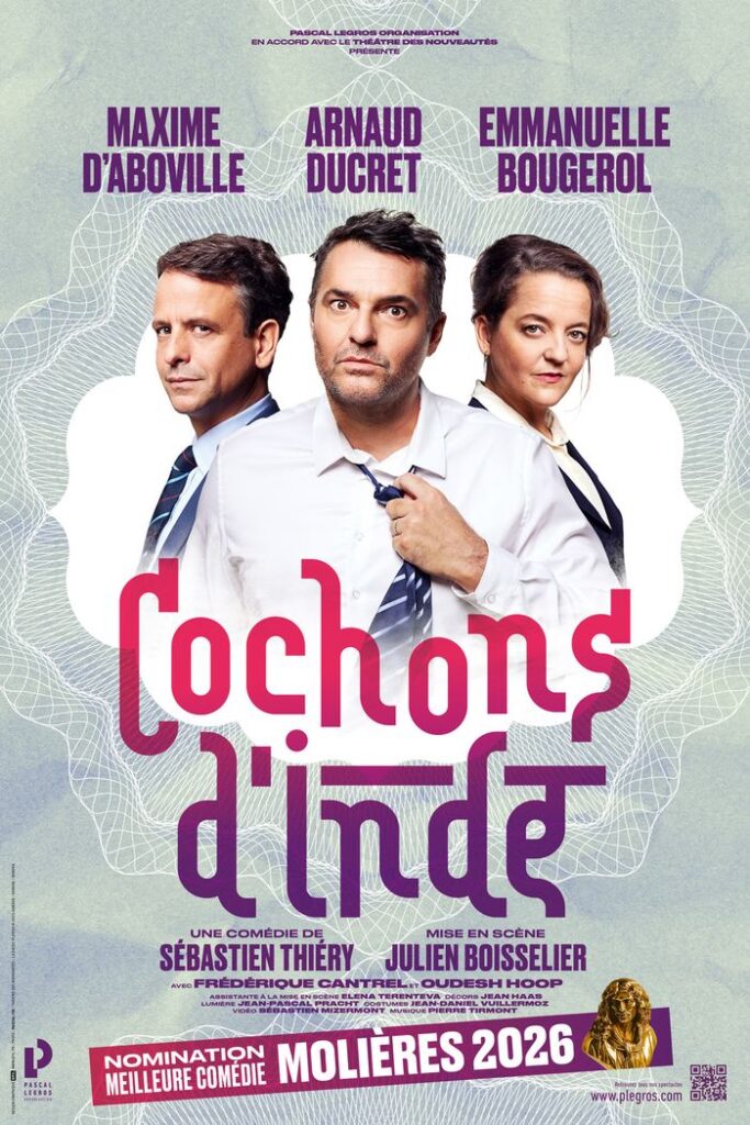 Cochons d'Inde cochons d'inde