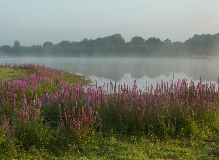 a la découverte de l’eau et de ses secrets !