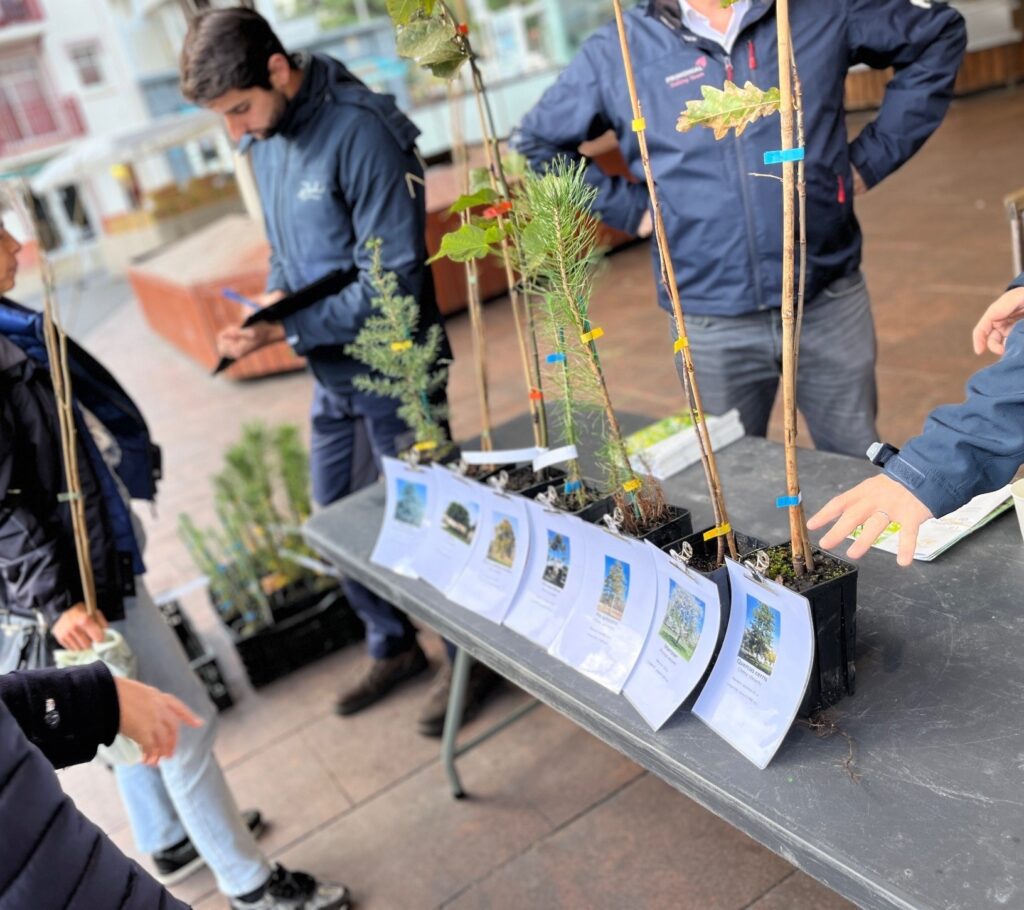 La Baule : des arbres gratuits pour les habitants au marché central du 24 au 27 octobre mlb 031 pho semaine arbre (7)