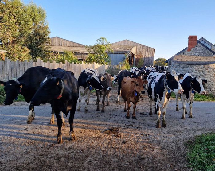 Visitez nos entreprises - Ferme Lait Prés Verts visitez nos entreprises ferme lait prés verts