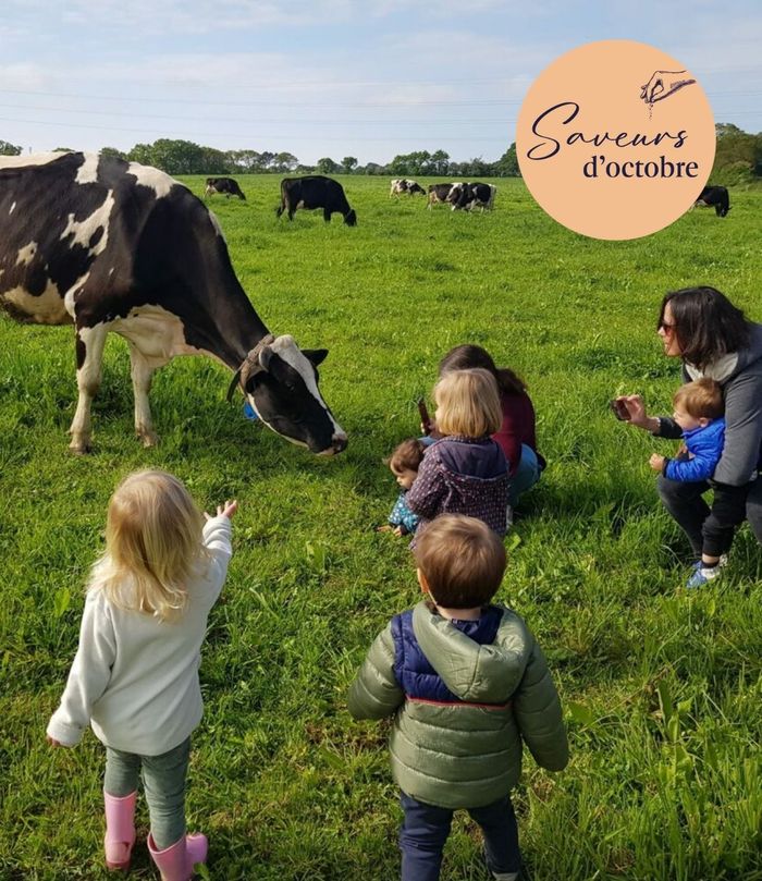 découverte de la fromagerie saveurs d'octobre